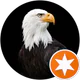 Eagle Eye profil fotoğrafı