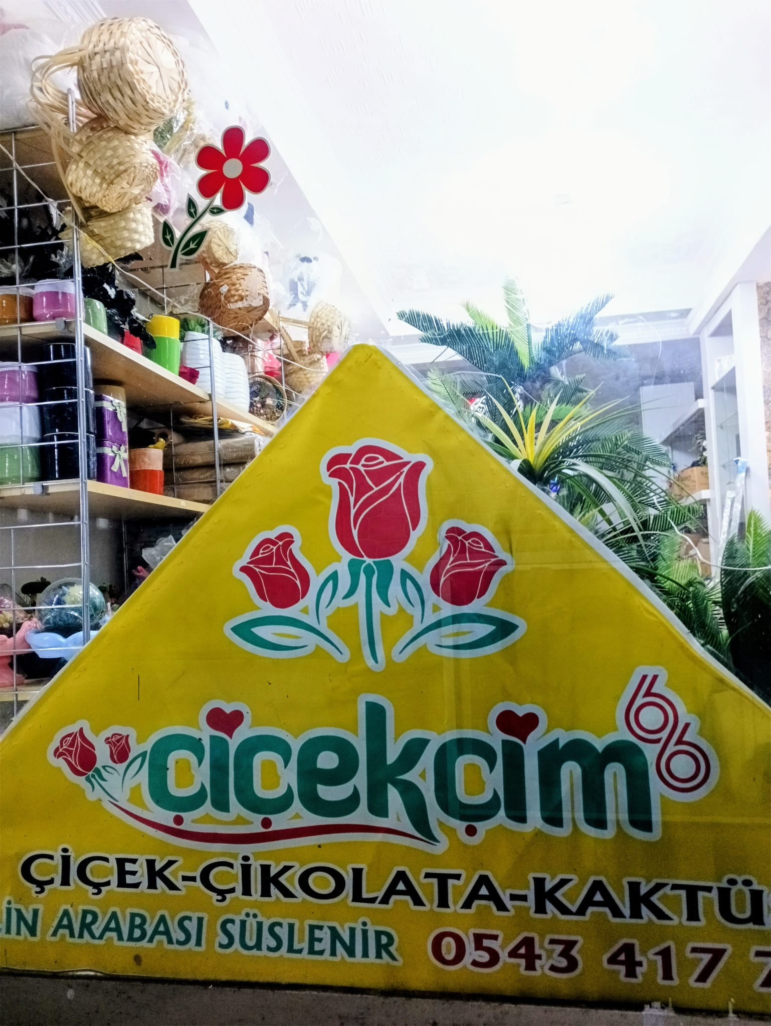 Çiçekçim 66 Yozgat