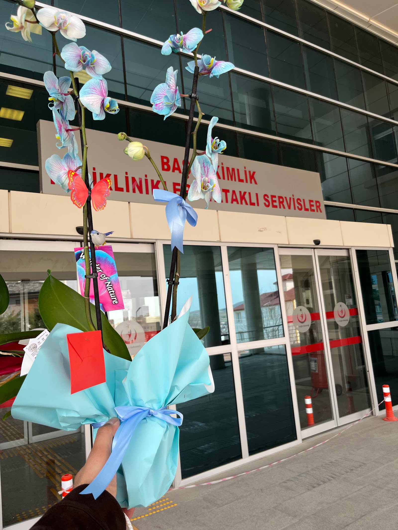 Sarıkaya Çiçekçi Ve Organizasyon kır düğünü mekanı — Sarıkaya