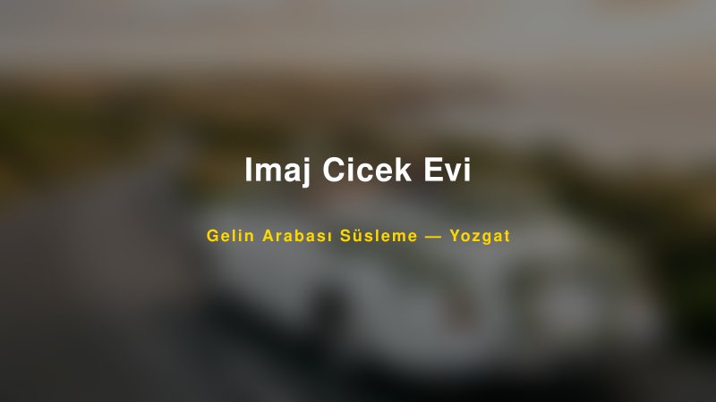 Imaj Cicek Evi Yozgat Gelin Arabası Süsleme